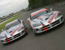 vipers on track