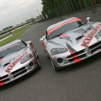 vipers on track