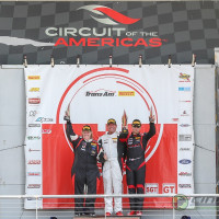 2019 cindilux cota