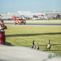 Local parents were taking their kids for a stroll prior to the practice session. (Photo: Jeff Boerio)