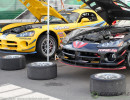 Lux Performance Vipers in the paddock. (Photo: Chris Clark)