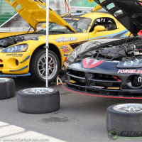 Lux Performance Vipers in the paddock. (Photo: Chris Clark)